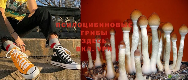 амф Алексин
