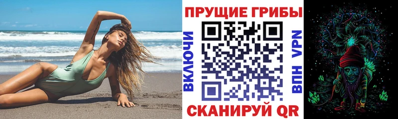 цены наркотик  Иланский  Псилоцибиновые грибы Cubensis 